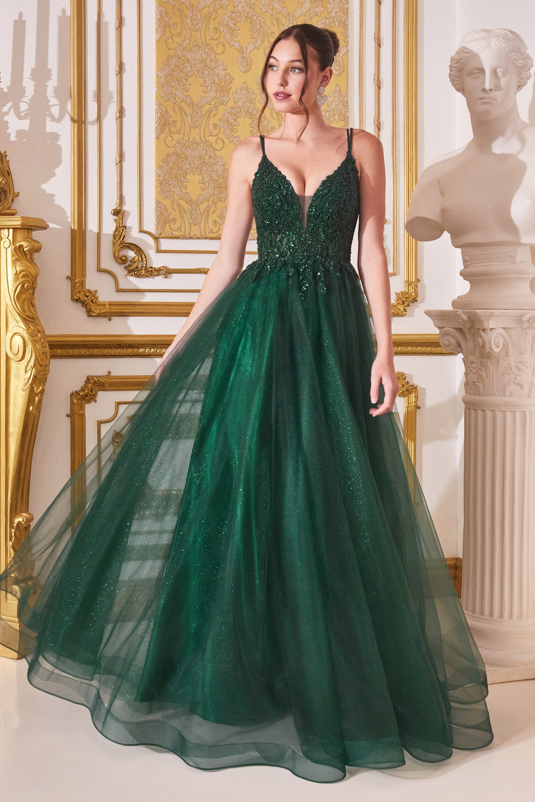 Beaded Long Sleeveless Tulle Dress by Ladivine CD0154