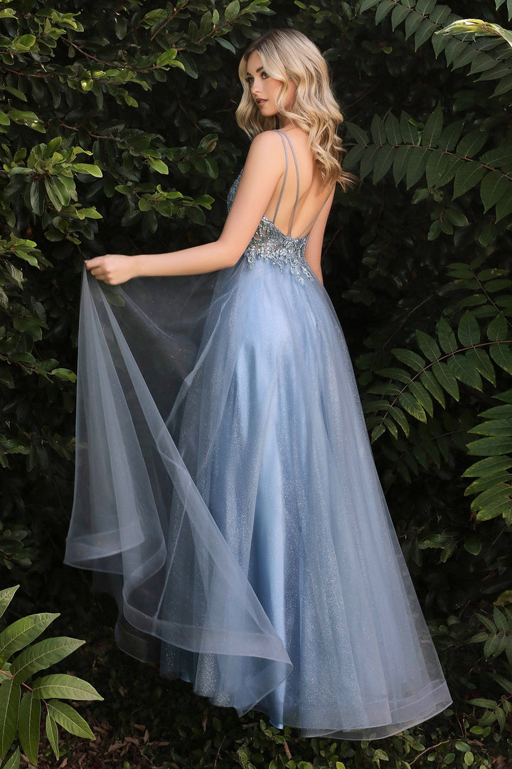 Beaded Long Sleeveless Tulle Dress by Ladivine CD0154