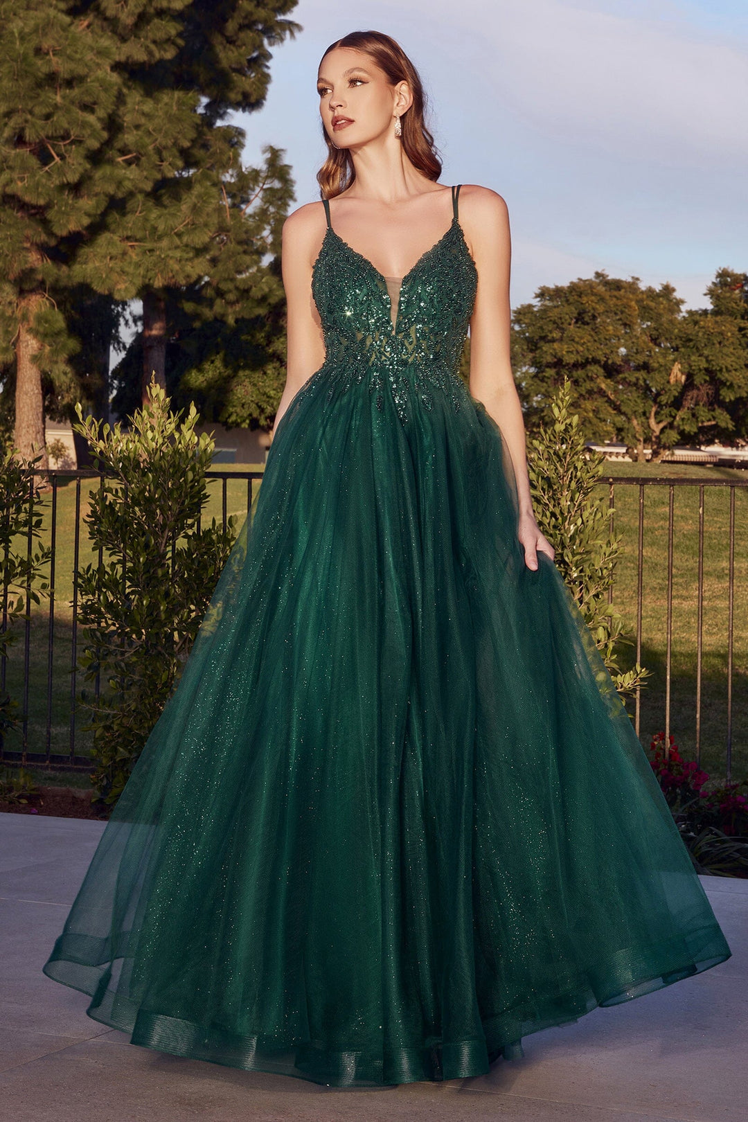 Beaded Long Sleeveless Tulle Dress by Ladivine CD0154