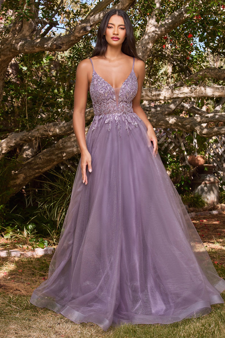 Beaded Long Sleeveless Tulle Dress by Ladivine CD0154