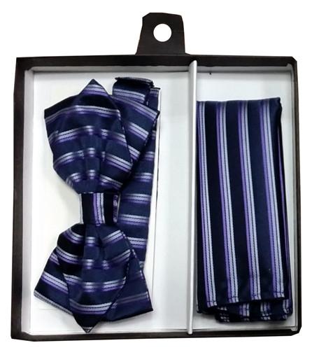 Blue/Purple Striped Bow Tie with Pocket Square (Pointed Tip)-Men's Bow Ties-ABC Fashion