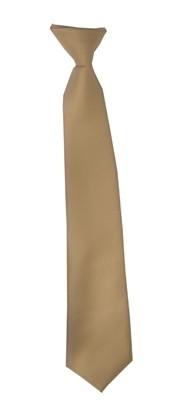 Boys Beige Clip On Necktie-Boys Neckties-ABC Fashion