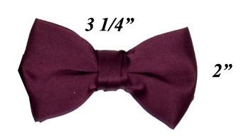 Boys Eggplant Pre-Tied Bow Tie-Boys Formal Wear-ABC Fashion