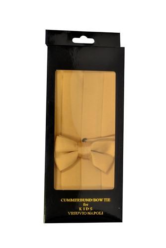 Boys Gold Cummerbund and Bow Tie Set-Boys Cummerbund-ABC Fashion