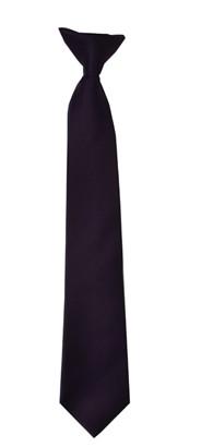 Boys Grape Clip On Necktie-Boys Neckties-ABC Fashion