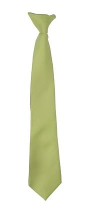Boys Mint Green Clip On Necktie-Boys Neckties-ABC Fashion