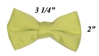 Boys Mint Green Pre-Tied Bow Tie-Boys Formal Wear-ABC Fashion
