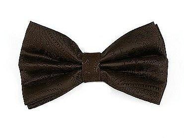 Brown Paisley Bow Ties with Matching Pocket Squares-Men's Bow Ties-ABC Fashion