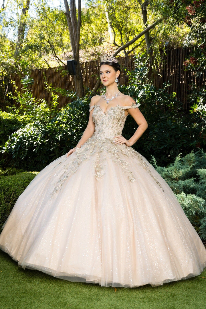 Butterfly Sweetheart Ball Gown by Cinderella Couture 8046J