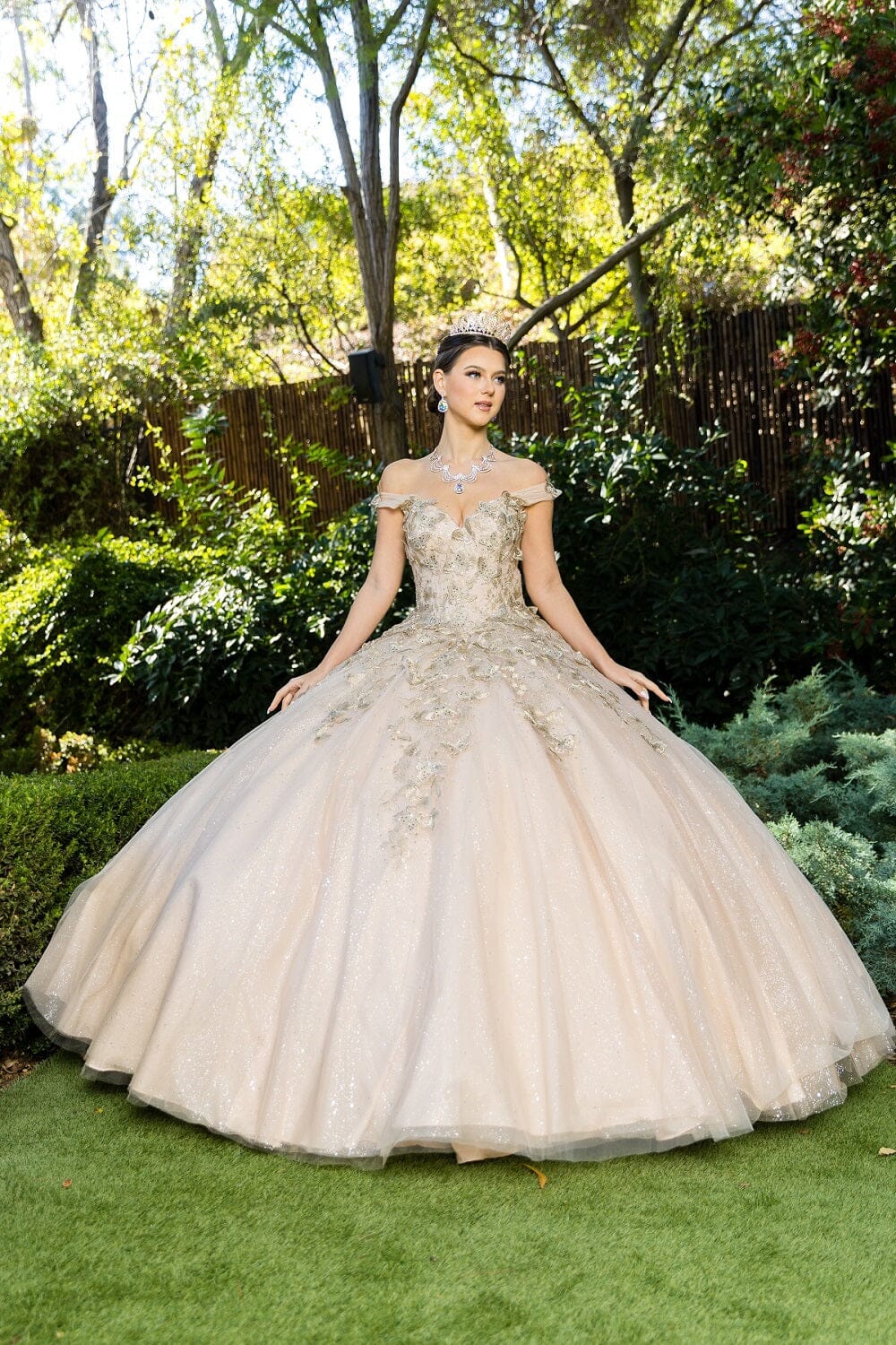 champagne butterfly dress Champagne Quinceaera Dress with Butterfly Embroidered Glitter XL / Champagne