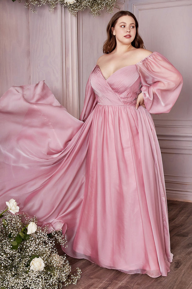 Curve Long Sleeve Chiffon Gown by Cinderella Divine CD243C