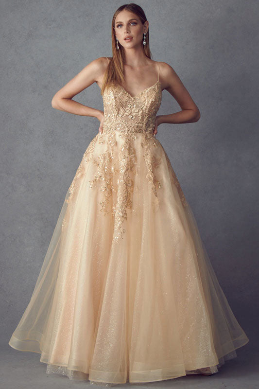 Embellished Long Sleeveless Tulle Dress by Juliet 251