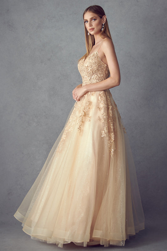 Embellished Long Sleeveless Tulle Dress by Juliet 251