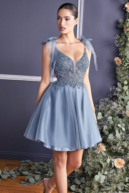 Embellished Short A-line Dress by Cinderella Divine CD0174 – ABC Fashion