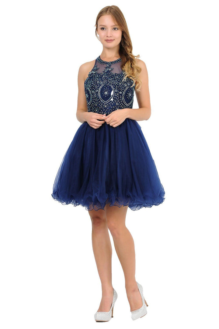 Embroidered Applique Short Ruffled Tulle Dress by Poly USA 8308