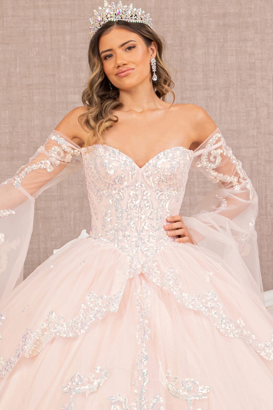 Embroidered Bell Sleeve Ball Gown by Elizabeth K GL3109