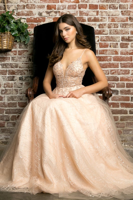 Embroidered Bodice Long Sleeveless Dress by Juliet 689