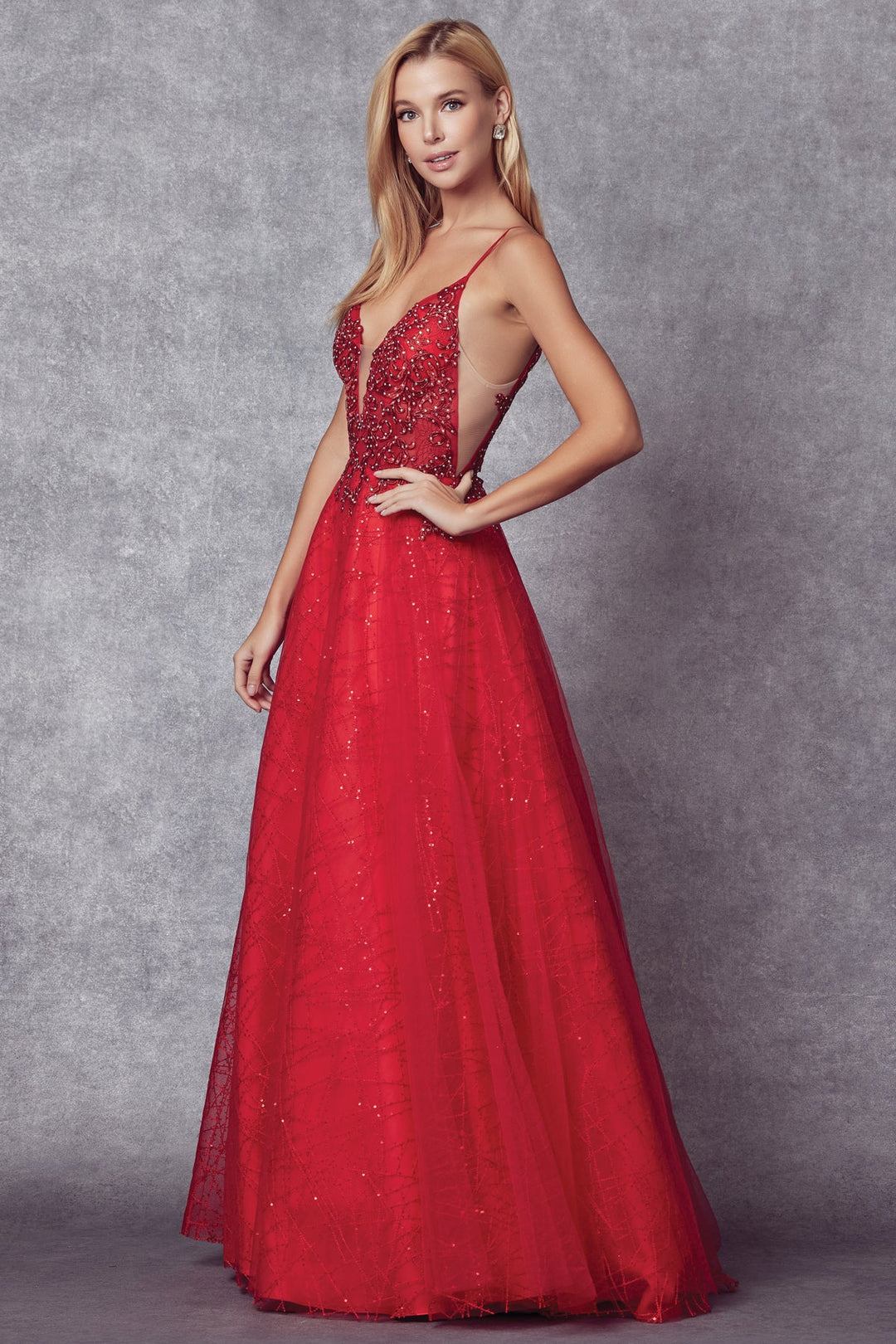 Embroidered Bodice Long Sleeveless Dress by Juliet 689