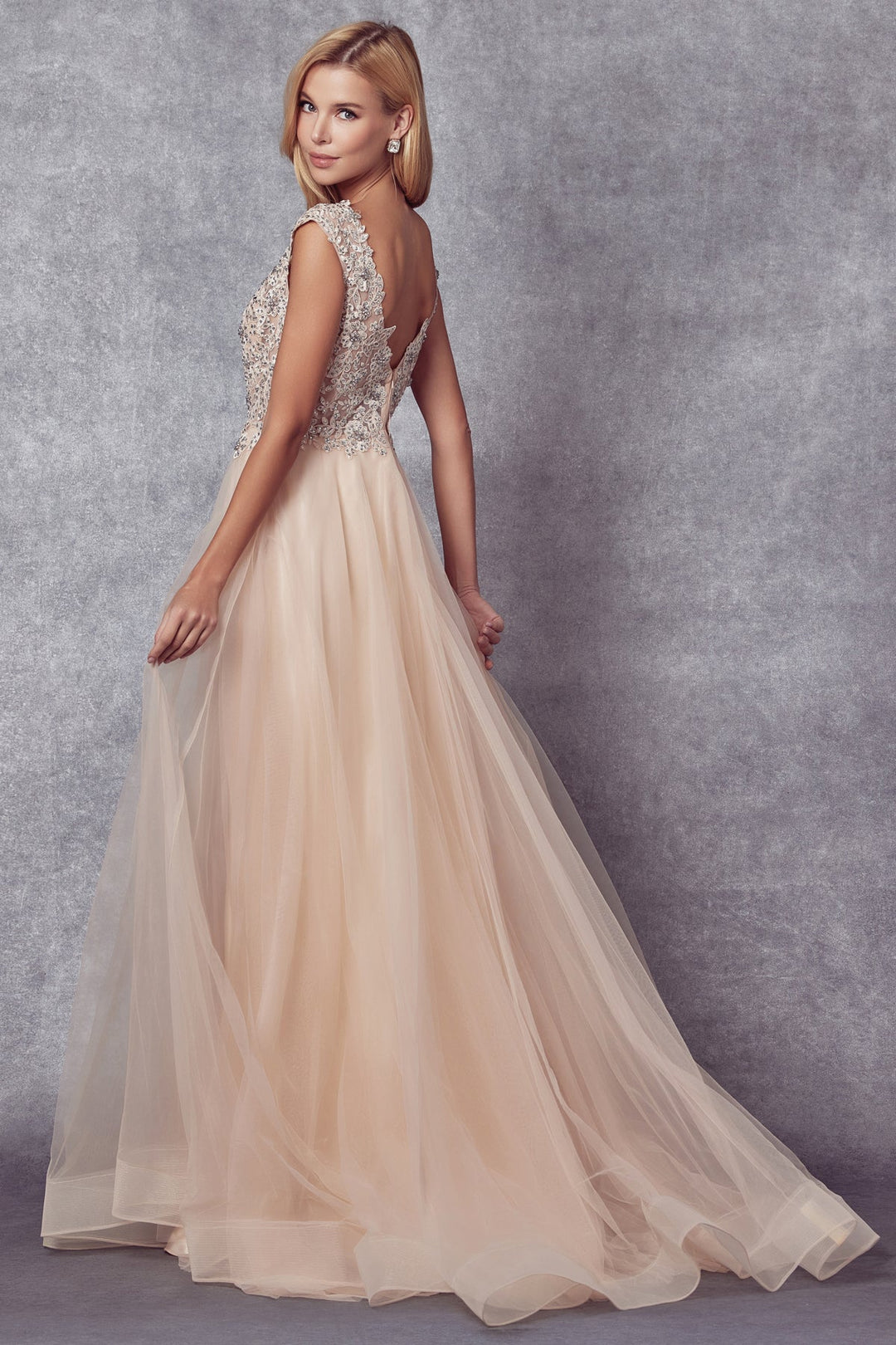 Embroidered Cap Sleeve Tulle Gown by Juliet 684