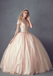 Embroidered Cold Shoulder Ball Gown by Juliet 1430