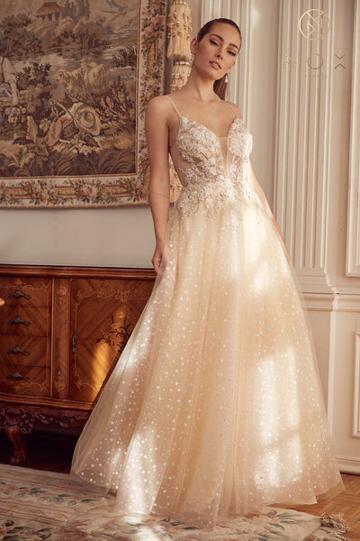Embroidered Illusion Sleeveless Gown by Nox Anabel E1002
