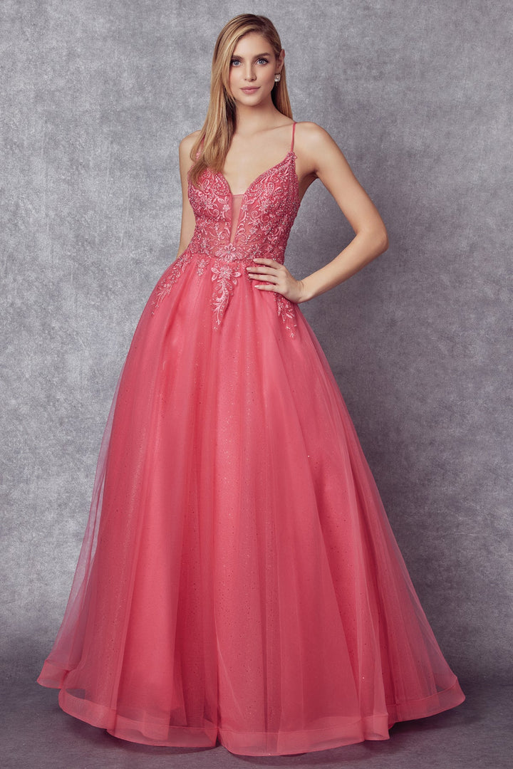 Embroidered Lace-Up Back Tulle Gown by Juliet 270