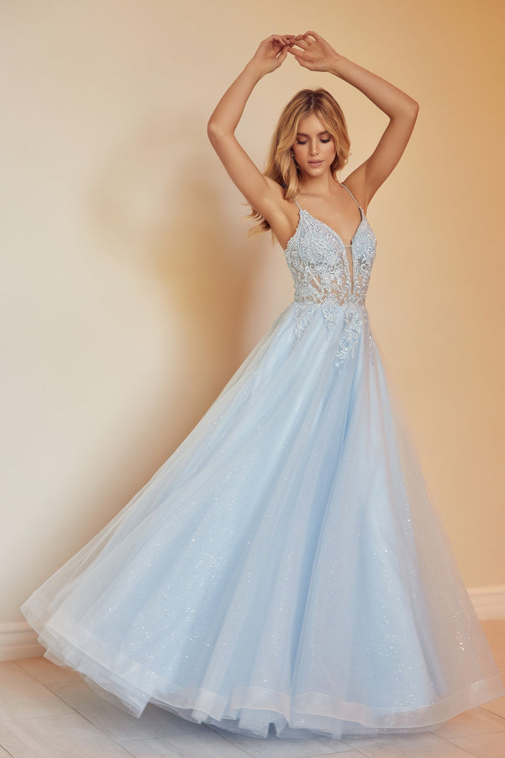 Embroidered Lace-Up Back Tulle Gown by Juliet 270