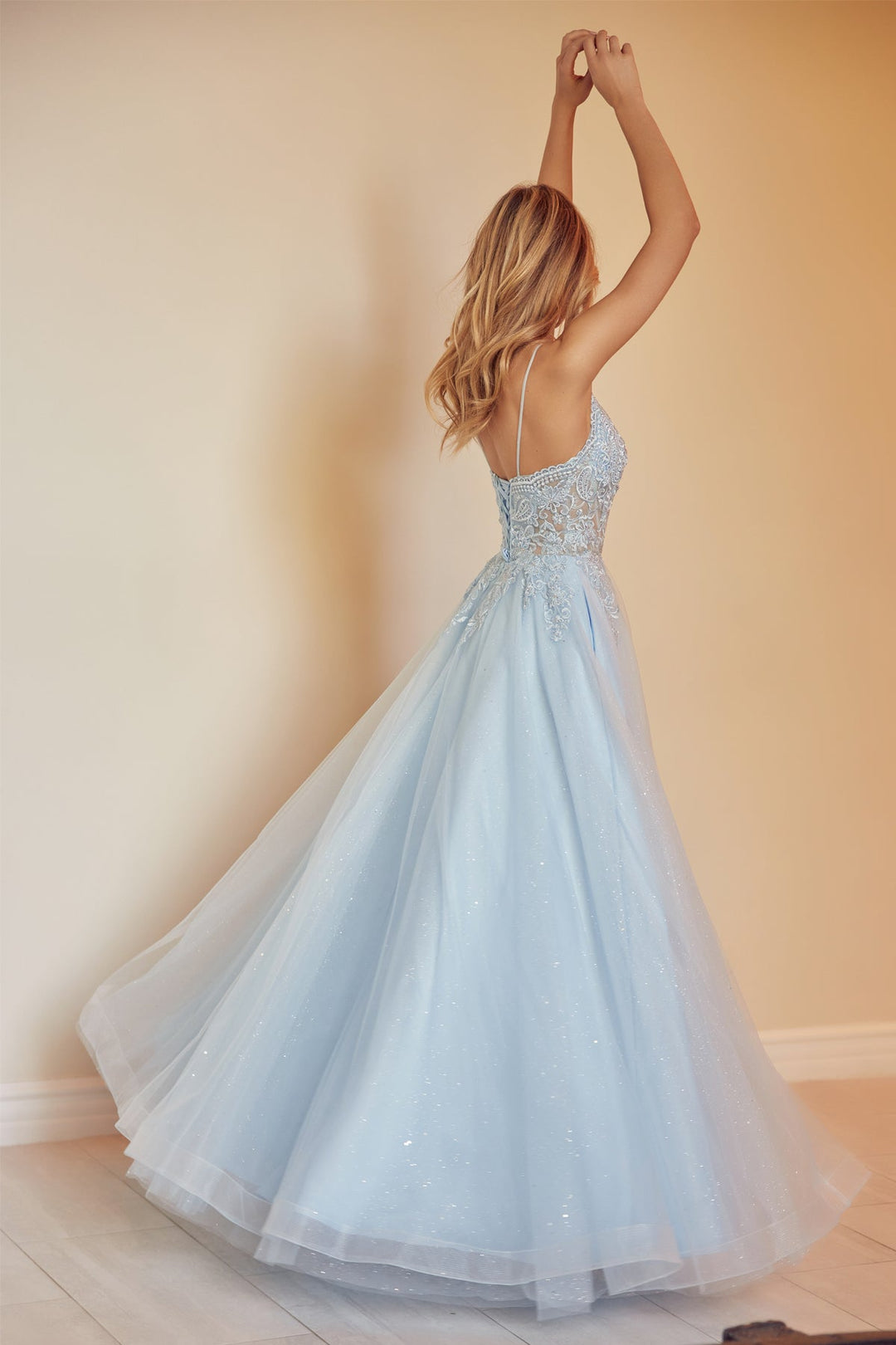 Embroidered Lace-Up Back Tulle Gown by Juliet 270