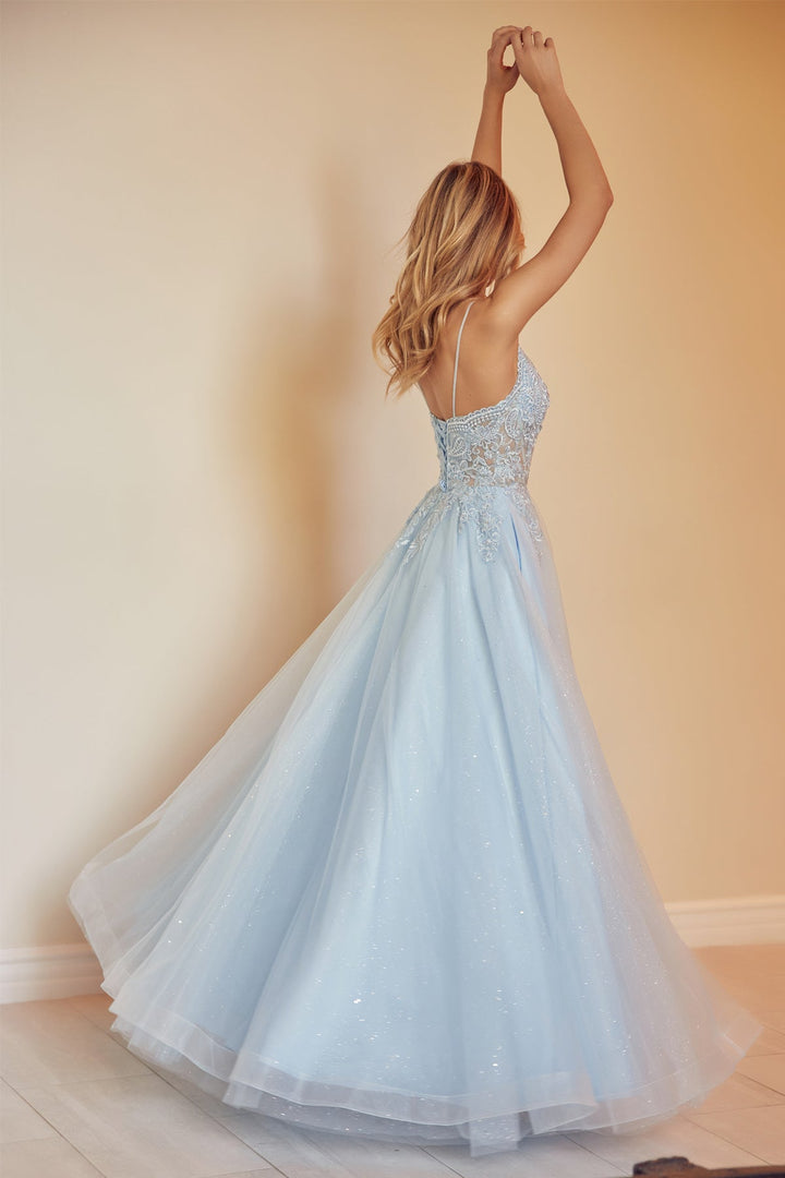 Embroidered Lace-Up Back Tulle Gown by Juliet 270