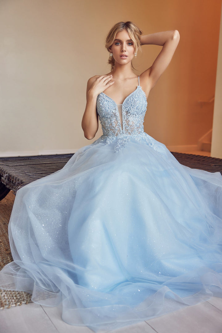 Embroidered Lace-Up Back Tulle Gown by Juliet 270