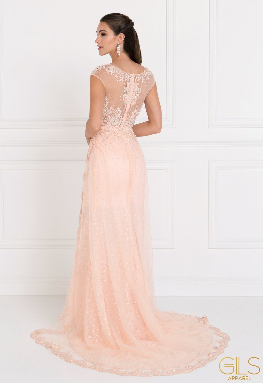 Embroidered Long Blush Cap Sleeve Lace Dress by Elizabeth K GL1539-Long Formal Dresses-ABC Fashion