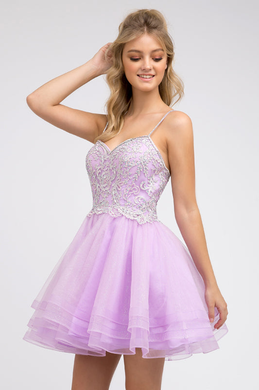 Embroidered Short Layered Dress by Juliet 849