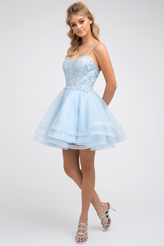 Embroidered Short Layered Dress by Juliet 849