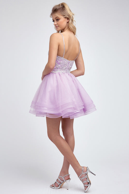 Embroidered Short Layered Dress by Juliet 849