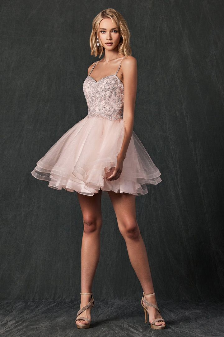 Embroidered Short Layered Dress by Juliet 849