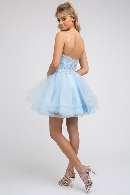 Embroidered Short Layered Dress by Juliet 849