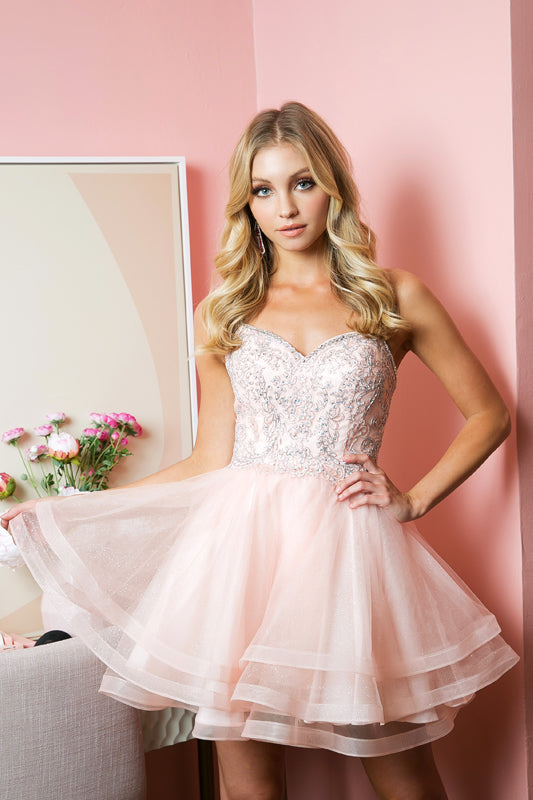 Embroidered Short Layered Dress by Juliet 849