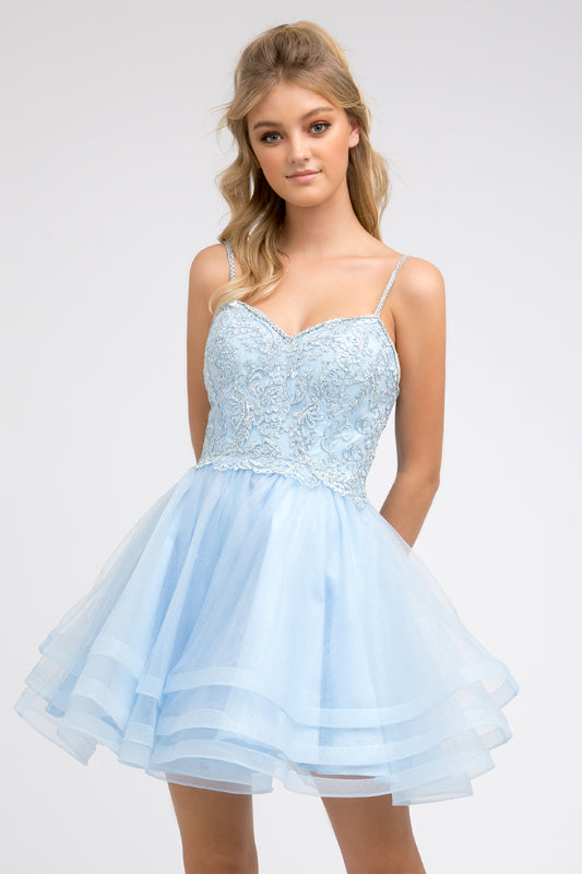 Embroidered Short Layered Dress by Juliet 849
