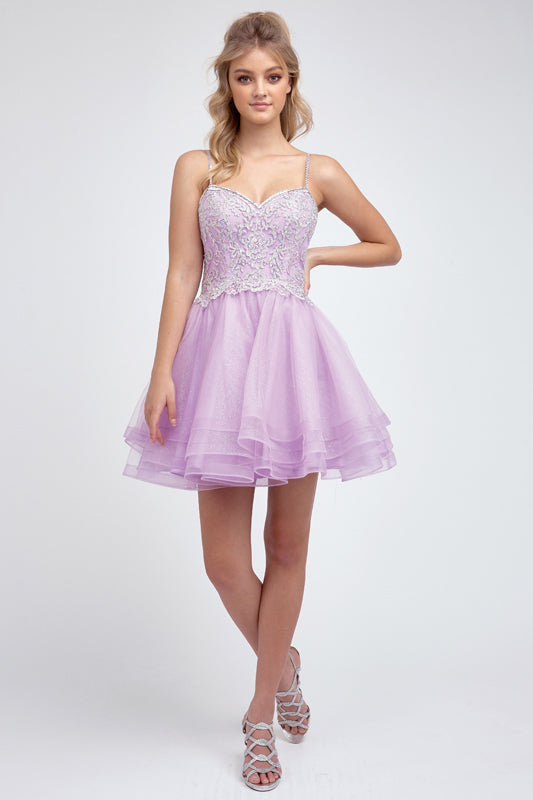 Embroidered Short Layered Dress by Juliet 849