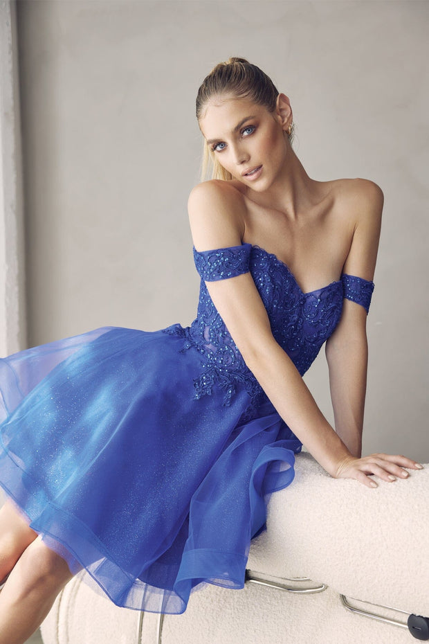 Embroidered Short Off Shoulder Dress by Juliet 880