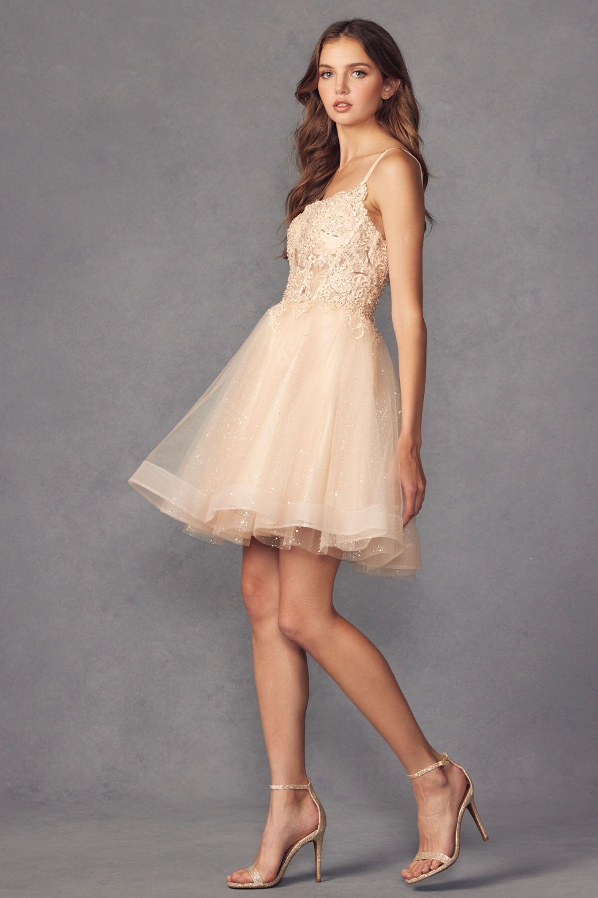 Embroidered Short Sleeveless Glitter Tulle Dress by Juliet