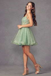 Embroidered Short Sleeveless Glitter Tulle Dress by Juliet 883