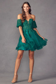 Embroidered Short Sweetheart Tulle Dress by Juliet 909