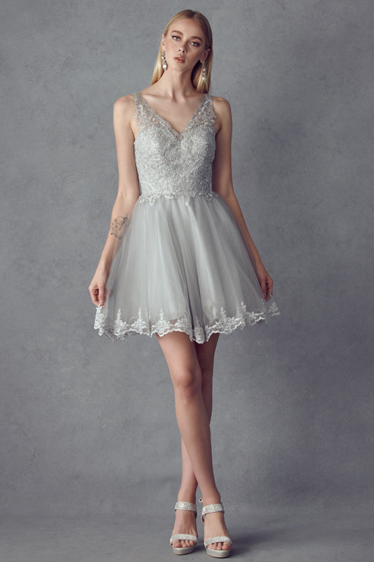 Embroidered Short V-Neck Dress by Juliet 835