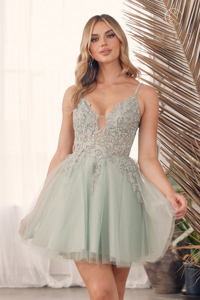 Embroidered Short V-Neck Tulle Dress by Nox Anabel G785