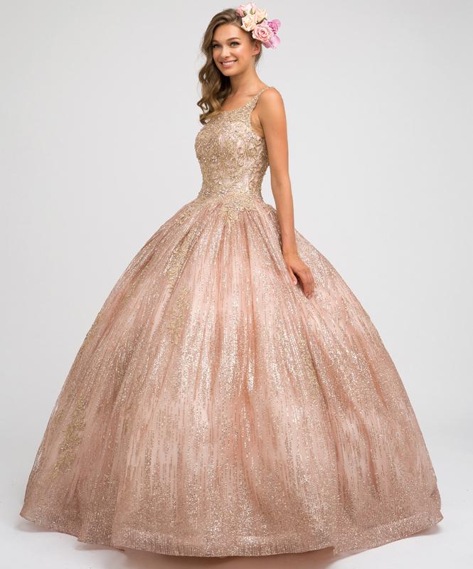 Embroidered Sleeveless Glitter Ball Gown by Juliet 1429