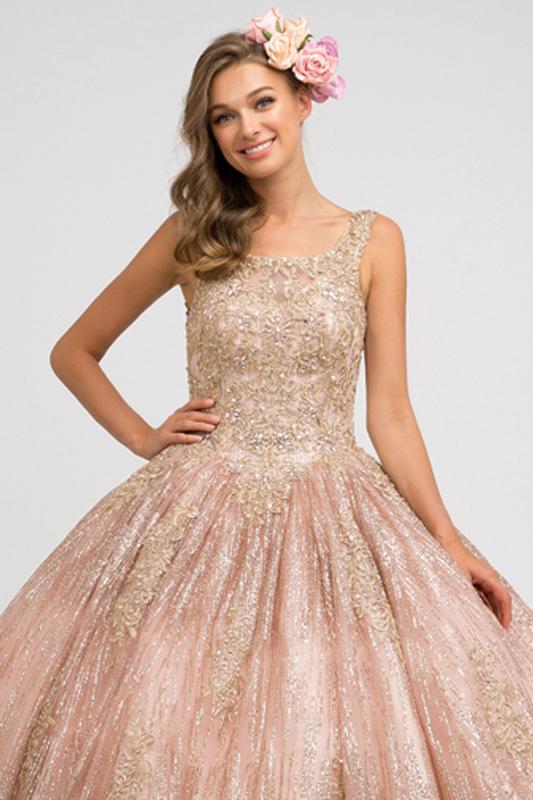 Embroidered Sleeveless Glitter Ball Gown by Juliet 1429