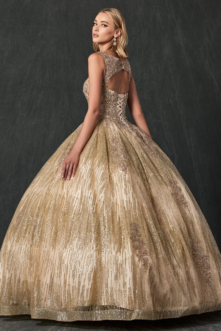 Embroidered Sleeveless Glitter Ball Gown by Juliet 1429