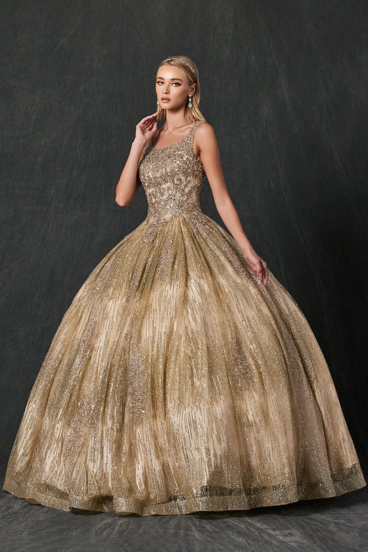 Embroidered Sleeveless Glitter Ball Gown by Juliet 1429