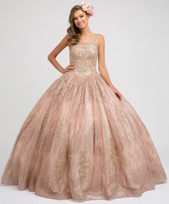 Embroidered Sleeveless Glitter Ball Gown by Juliet 1429